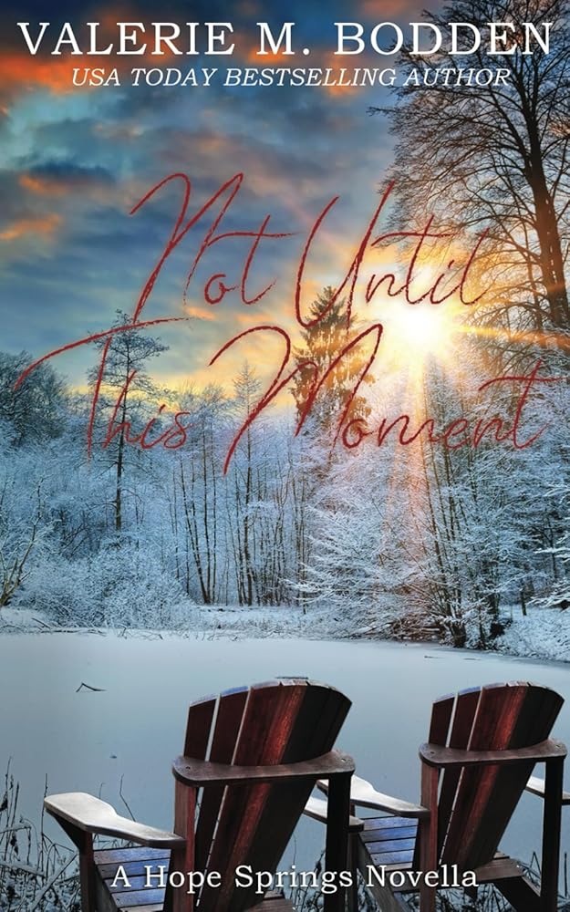Not Until This Moment: A Christian Romance Novella (Hope Springs) cover image