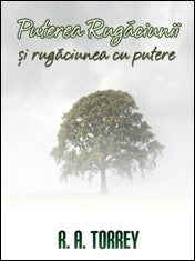 Puterea rugăciunii și rugăciunea cu putere cover image