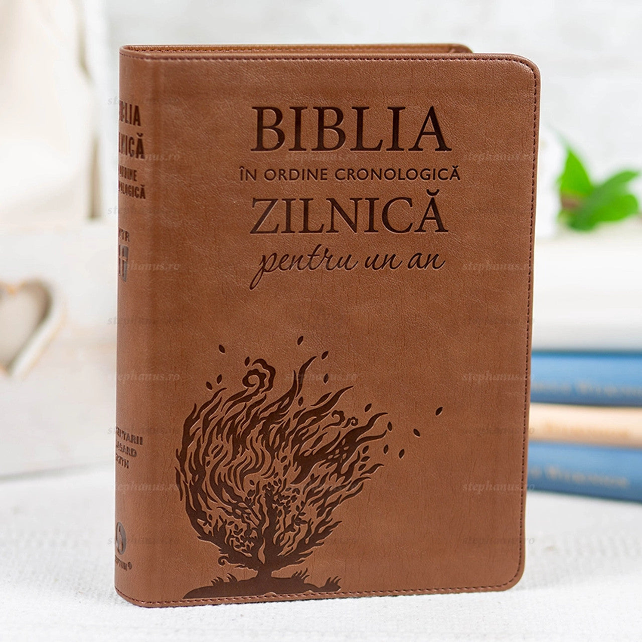 Biblia zilnică în ordine cronologică