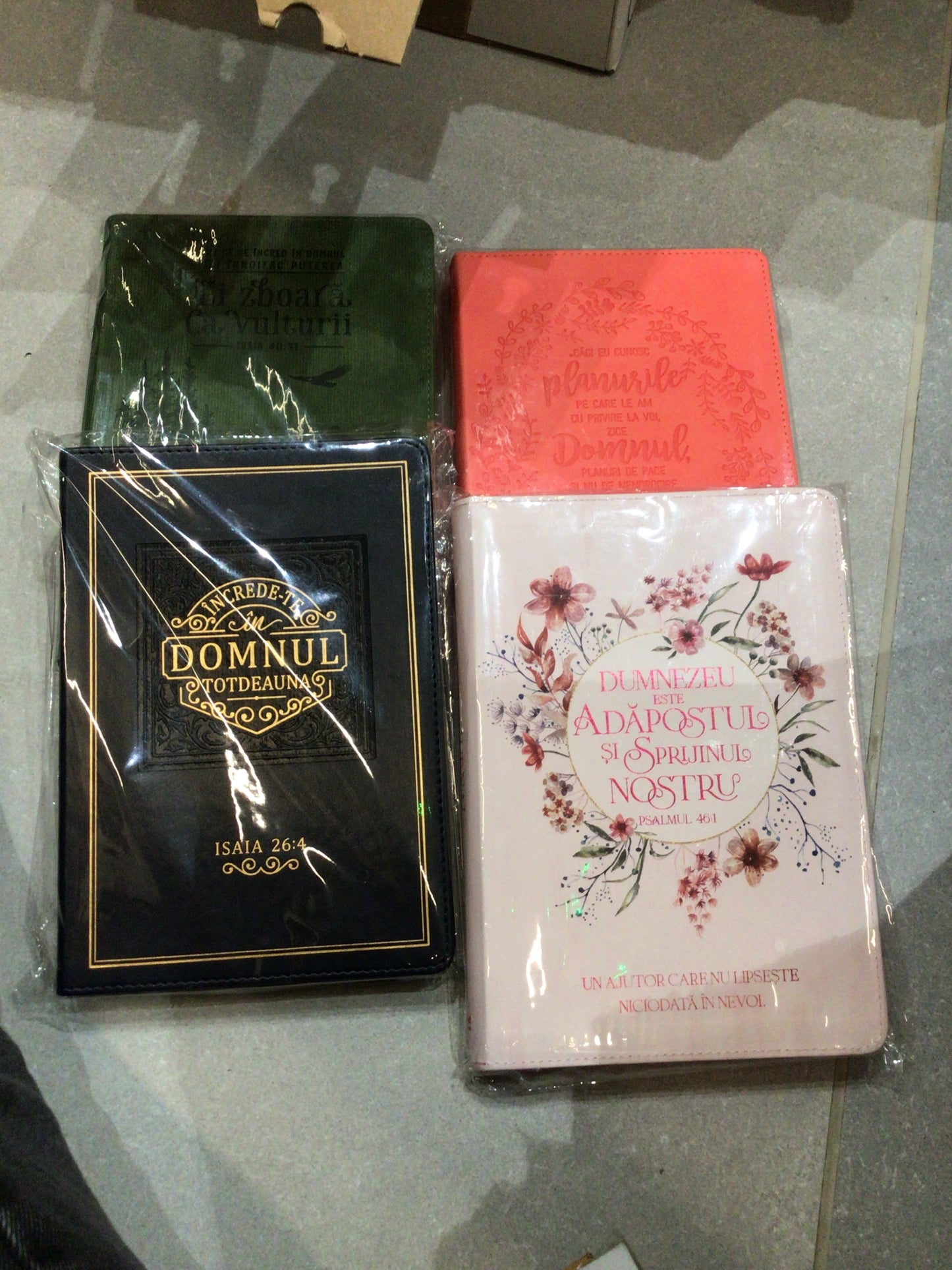 Jurnal, deluxe, format mare