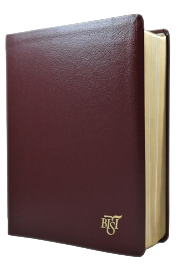 Biblia Internațională de Studiu Inductiv-BISI