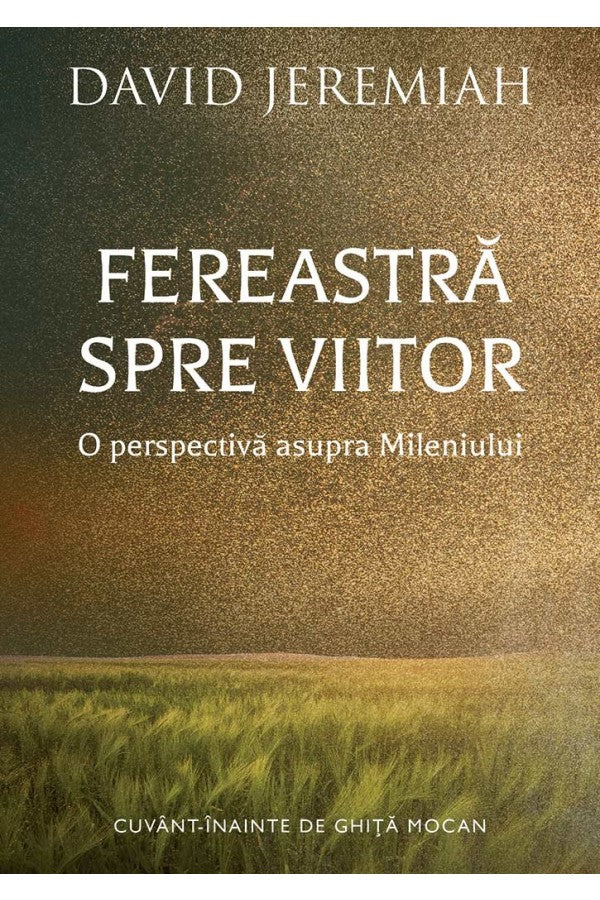 Fereastra spre viitor