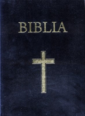 Biblia VS 093, coperta carton