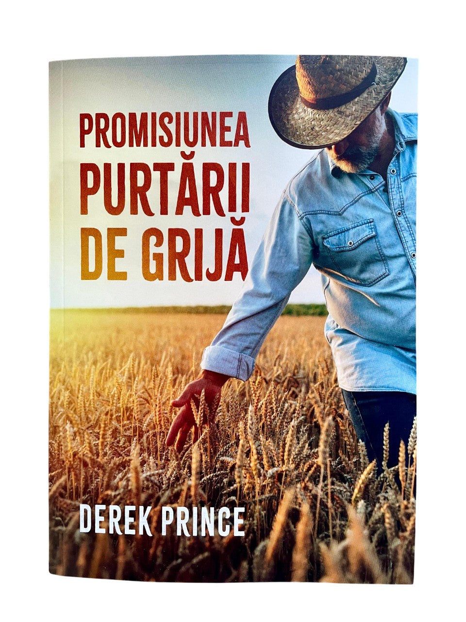 Promisiunea purtării de grija