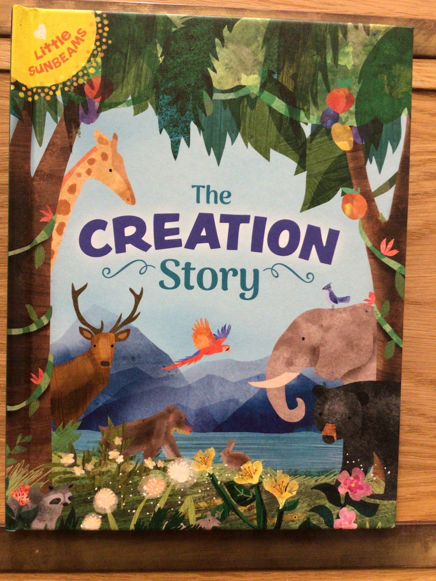 The creation story