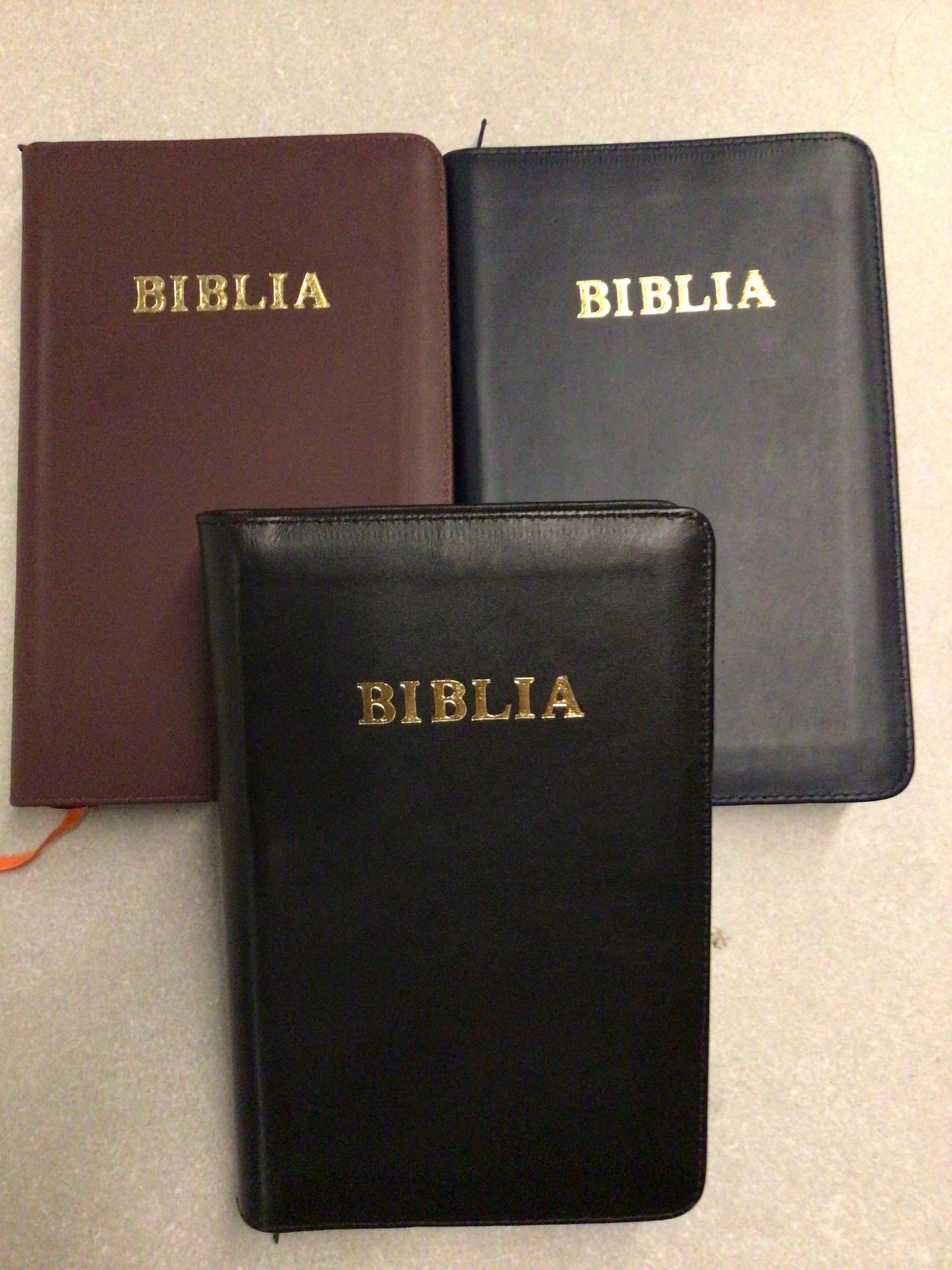 Biblia LIFE de studiu pentru copii PF diverse culori