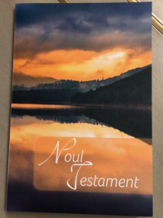 Noul Testament GBV 2023- imagine