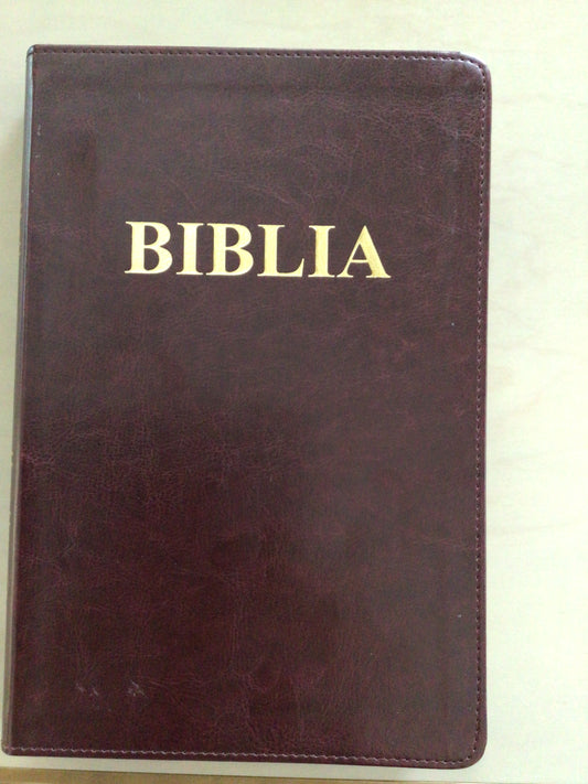 Biblia SBR 076 TI, CM G- visinie