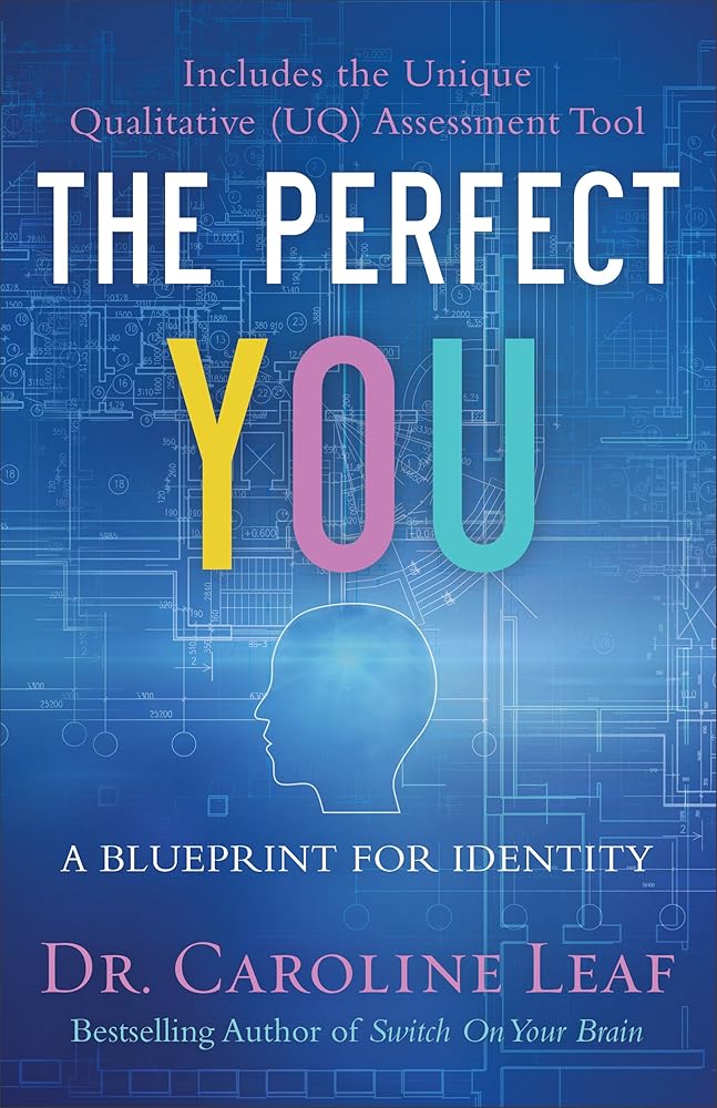 Perfect You cover image