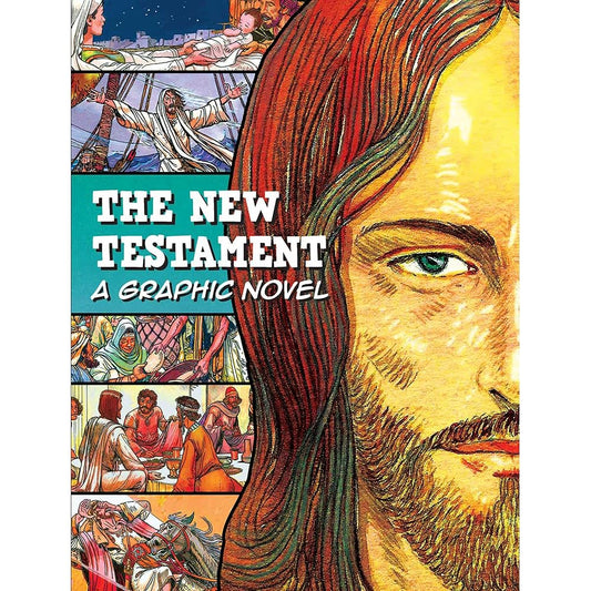 The New Testament a Graphic Novel cover image