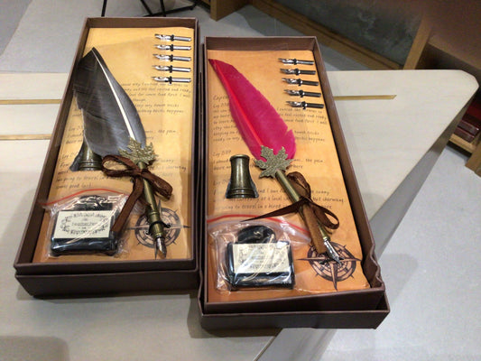 Fountain pen with feather/ Stilou cu pana