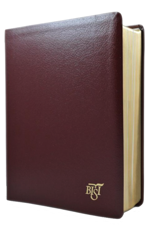 Biblia Internațională de Studiu Inductiv-BISI