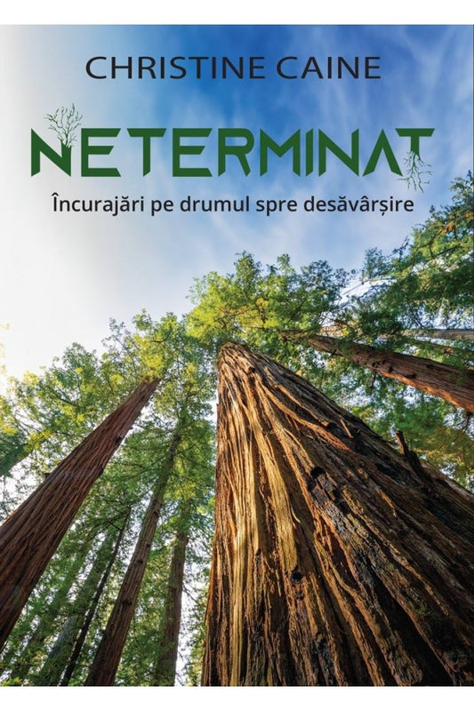 Neterminat